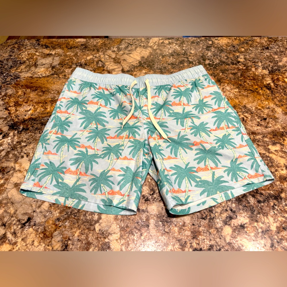 Tropical Palm Tree Men's Departwest Swim Shorts